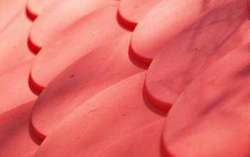 Pancrasweek plastic roof costs